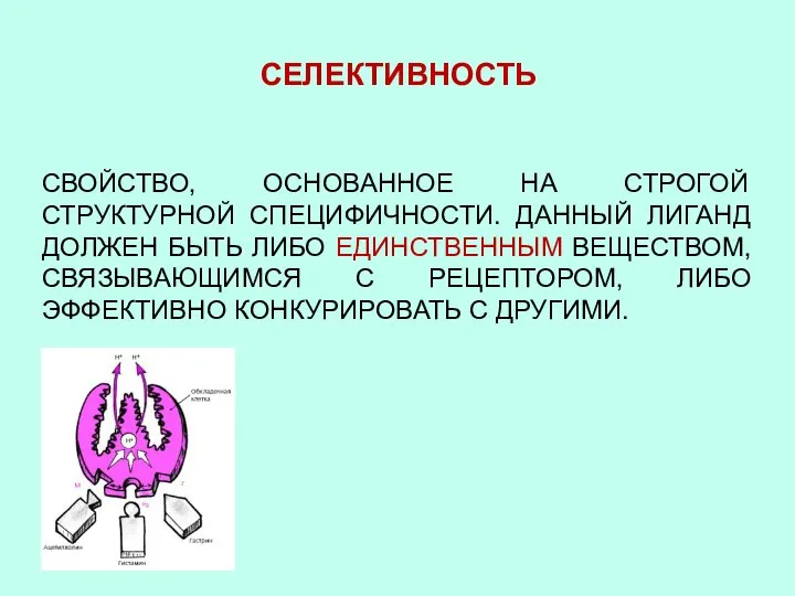 СЕЛЕКТИВНОСТЬ СВОЙСТВО, ОСНОВАННОЕ НА СТРОГОЙ СТРУКТУРНОЙ СПЕЦИФИЧНОСТИ. ДАННЫЙ ЛИГАНД ДОЛЖЕН БЫТЬ