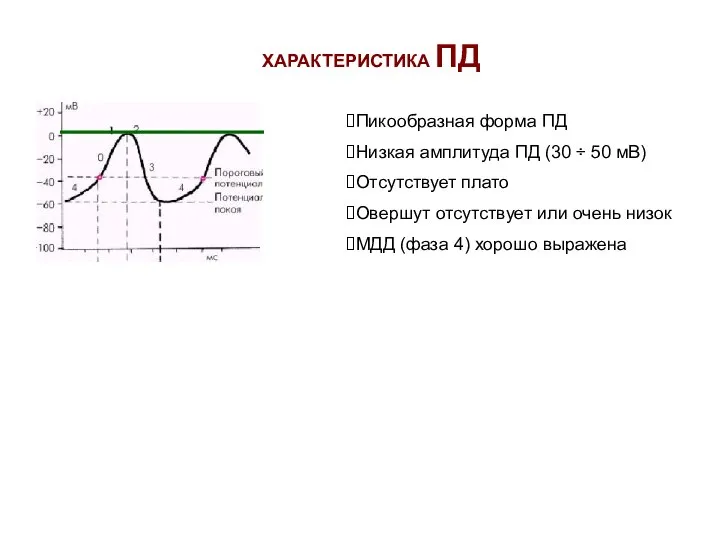 ХАРАКТЕРИСТИКА ПД Пикообразная форма ПД Низкая амплитуда ПД (30 ÷ 50