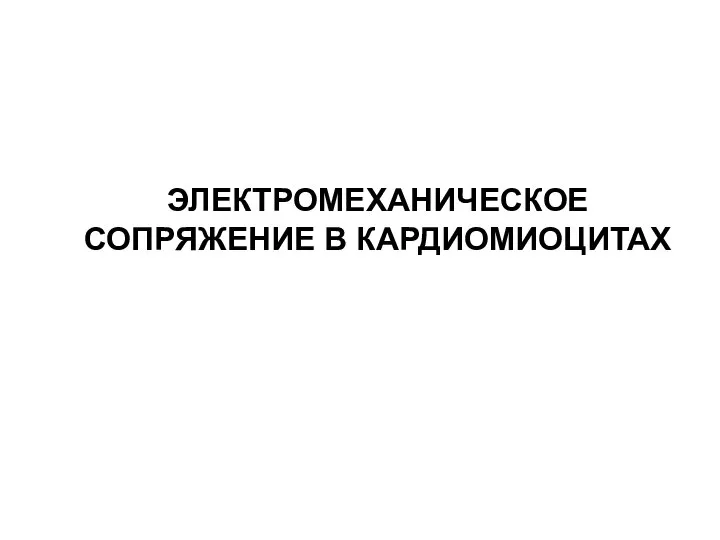 ЭЛЕКТРОМЕХАНИЧЕСКОЕ СОПРЯЖЕНИЕ В КАРДИОМИОЦИТАХ