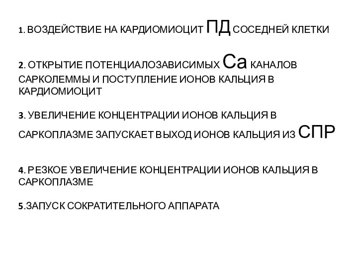 1. ВОЗДЕЙСТВИЕ НА КАРДИОМИОЦИТ ПД СОСЕДНЕЙ КЛЕТКИ 2. ОТКРЫТИЕ ПОТЕНЦИАЛОЗАВИСИМЫХ Са