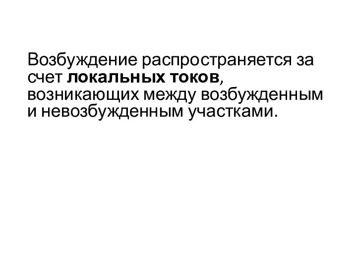 Возбуждение распространяется за счет локальных токов, возникающих между возбужденным и невозбужденным участками.