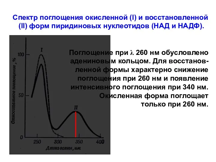 Спектр поглощения окисленной (I) и восстановленной (II) форм пиридиновых нуклеотидов (НАД