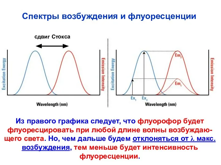 Спектры возбуждения и флуоресценции сдвиг Стокса Из правого графика следует, что