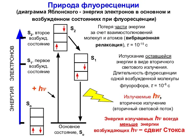 Природа флуоресценции (диаграмма Яблонского - энергия электронов в основном и возбужденном