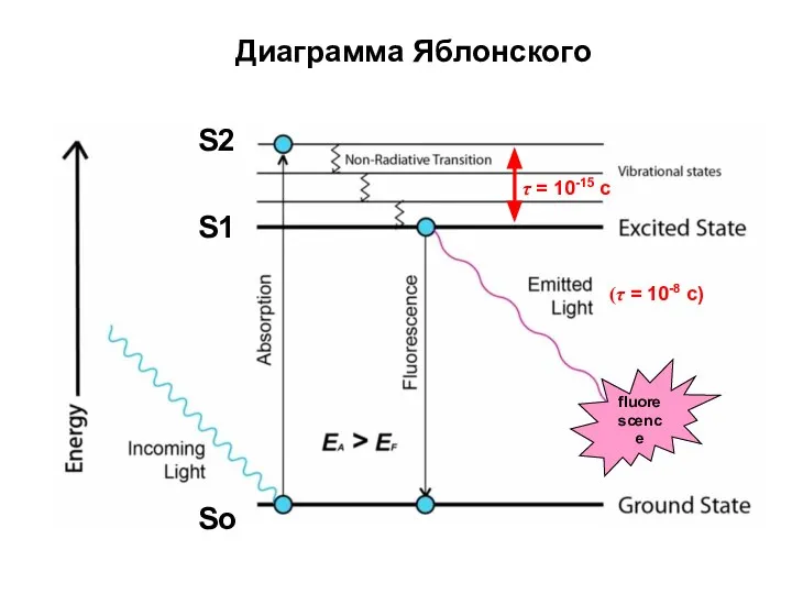 Диаграмма Яблонского So S2 S1 fluorescence τ = 10-15 с (τ = 10-8 с)