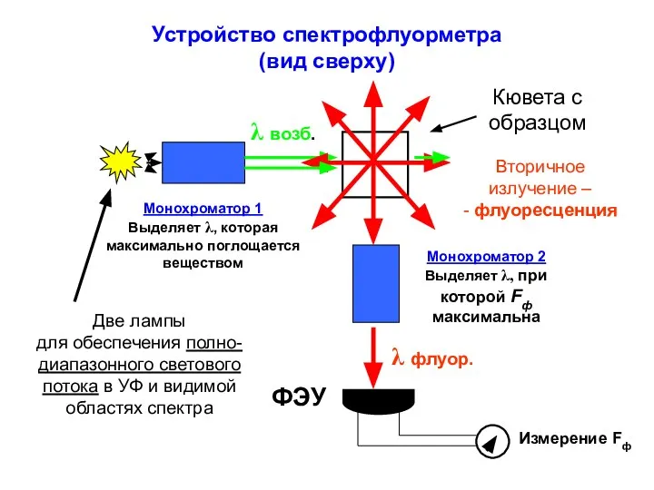 Устройство спектрофлуорметра (вид сверху) Монохроматор 1 Выделяет λ, которая максимально поглощается