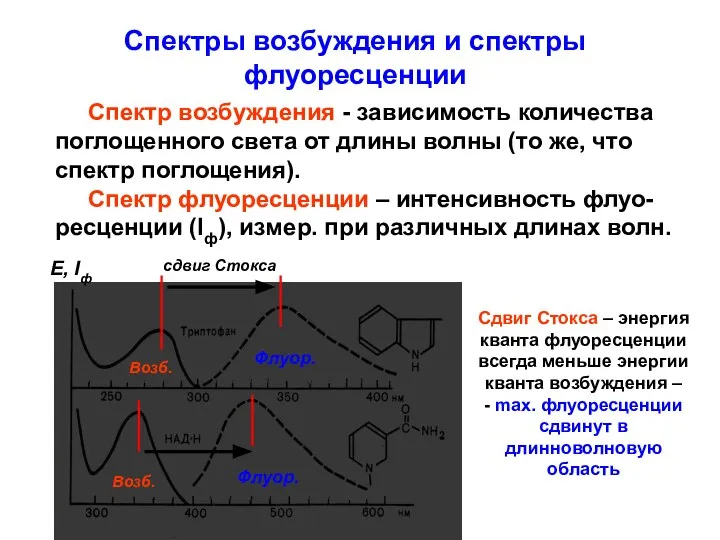 Спектры возбуждения и спектры флуоресценции Спектр возбуждения - зависимость количества поглощенного