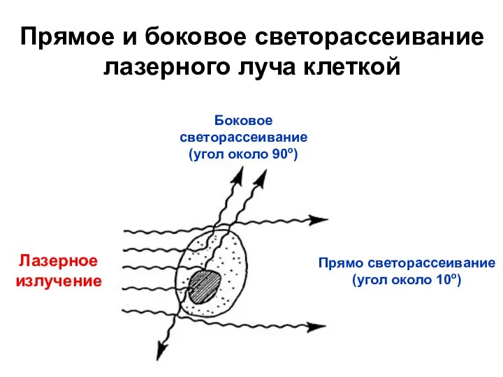 Лазерное излучение Боковое светорассеивание(угол около 90о) Прямо светорассеивание (угол около 10о)