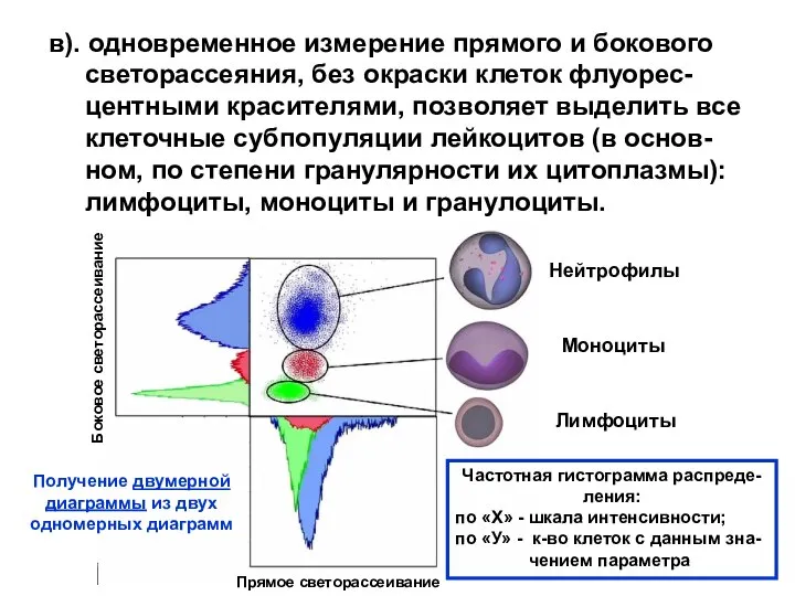 в). одновременное измерение прямого и бокового светорассеяния, без окраски клеток флуорес-