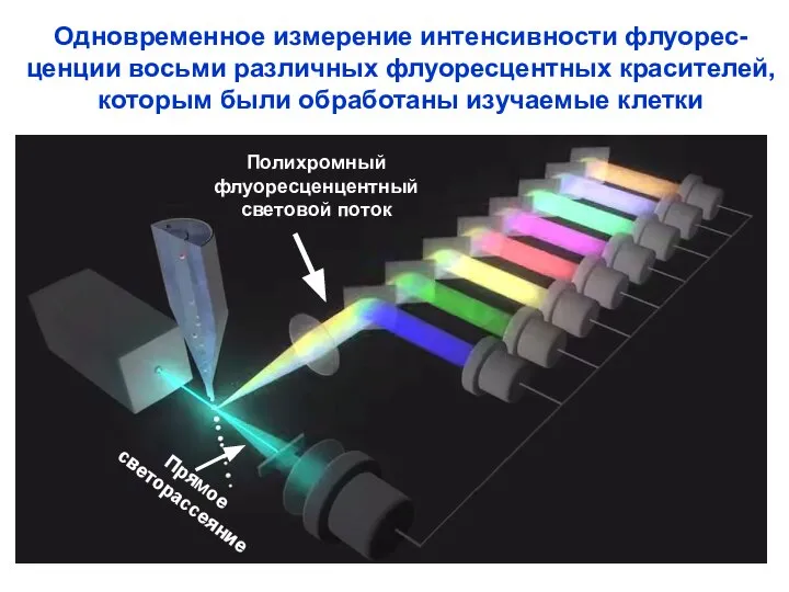 Одновременное измерение интенсивности флуорес- ценции восьми различных флуоресцентных красителей, которым были