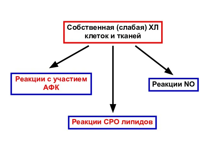 Собственная (слабая) ХЛ клеток и тканей Реакции с участием АФК Реакции СРО липидов Реакции NO