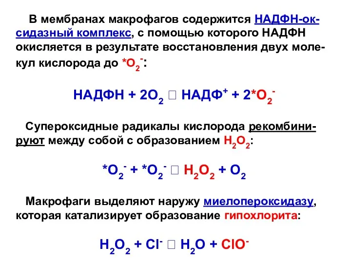 В мембранах макрофагов содержится НАДФН-ок-сидазный комплекс, с помощью которого НАДФН окисляется