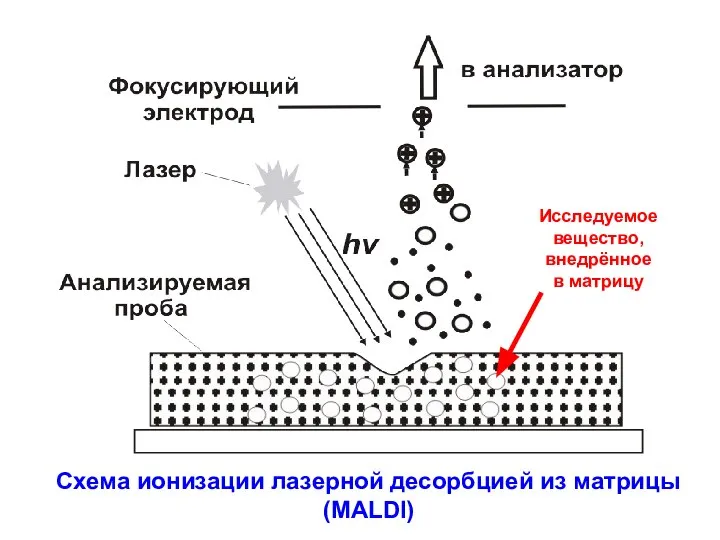 Схема ионизации лазерной десорбцией из матрицы (MALDI) Исследуемое вещество, внедрённое в матрицу