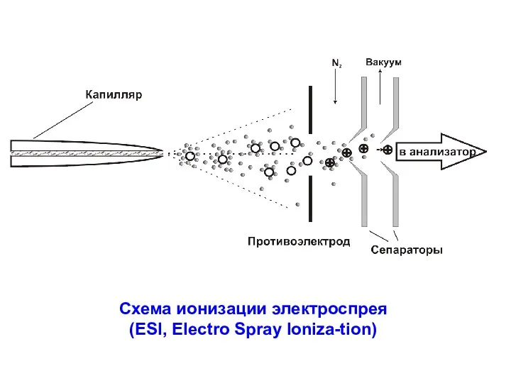 Схема ионизации электроспрея (ESI, Electro Spray Ioniza-tion)