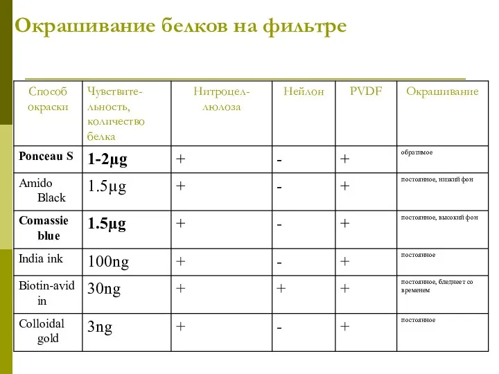 Окрашивание белков на фильтре
