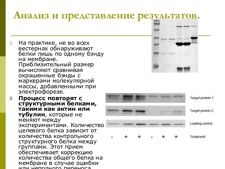 Анализ и представление результатов. На практике, не во всех вестернах обнаруживают