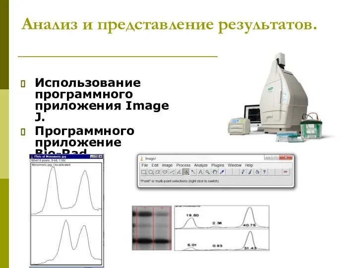 Анализ и представление результатов. Использование программного приложения Image J. Программного приложение Bio-Rad