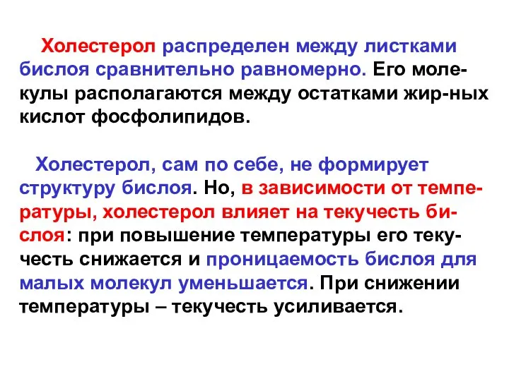 Холестерол распределен между листками бислоя сравнительно равномерно. Его моле-кулы располагаются между