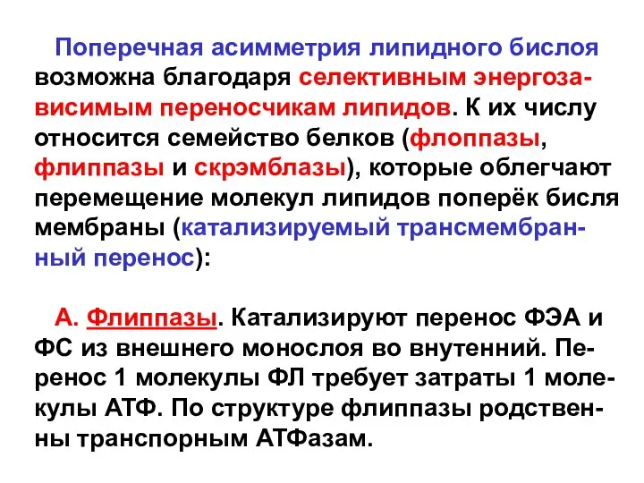 Поперечная асимметрия липидного бислоя возможна благодаря селективным энергоза-висимым переносчикам липидов. К