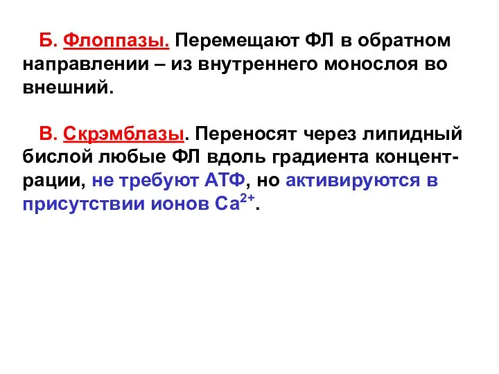 Б. Флоппазы. Перемещают ФЛ в обратном направлении – из внутреннего монослоя