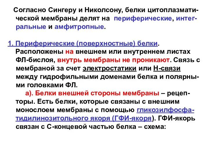 Согласно Сингеру и Николсону, белки цитоплазмати-ческой мембраны делят на периферические, интег-ральные