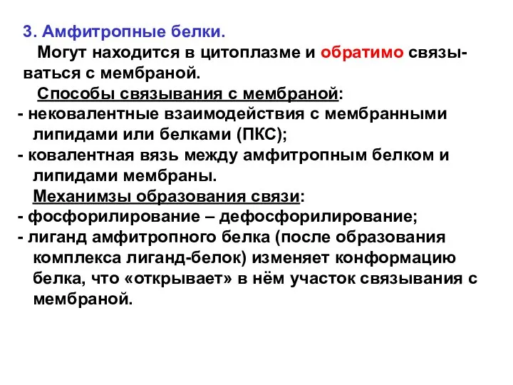 3. Амфитропные белки. Могут находится в цитоплазме и обратимо связы-ваться с