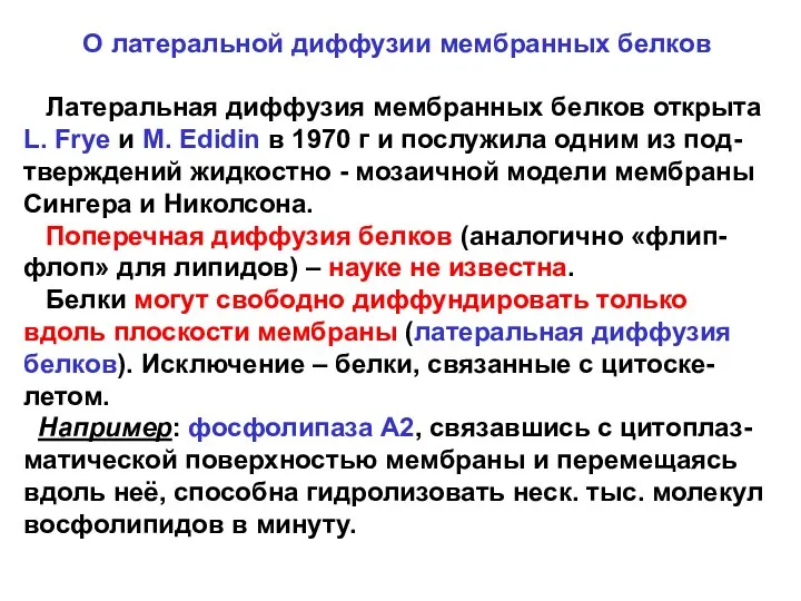 О латеральной диффузии мембранных белков Латеральная диффузия мембранных белков открыта L.