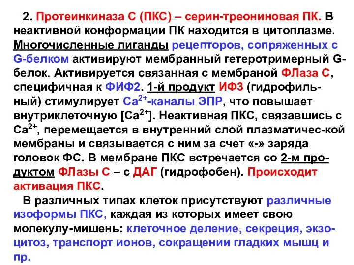 2. Протеинкиназа С (ПКС) – серин-треониновая ПК. В неактивной конформации ПК