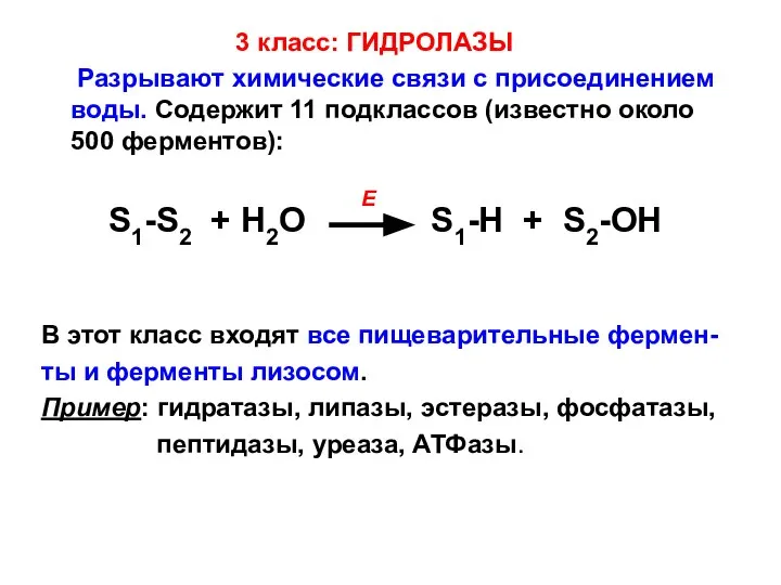 3 класс: ГИДРОЛАЗЫ Разрывают химические связи с присоединением воды. Содержит 11