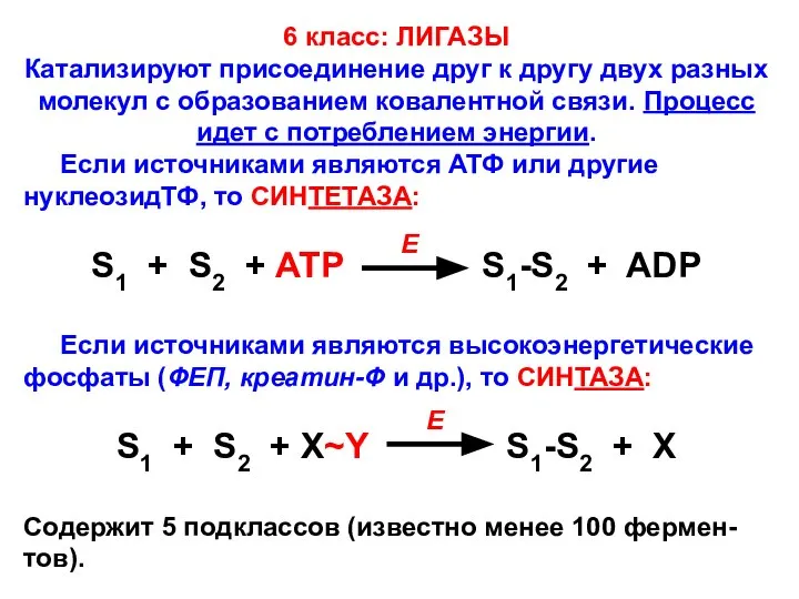 6 класс: ЛИГАЗЫ Катализируют присоединение друг к другу двух разных молекул