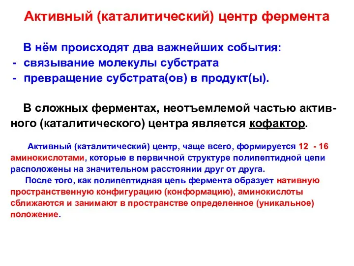 Активный (каталитический) центр фермента В нём происходят два важнейших события: связывание