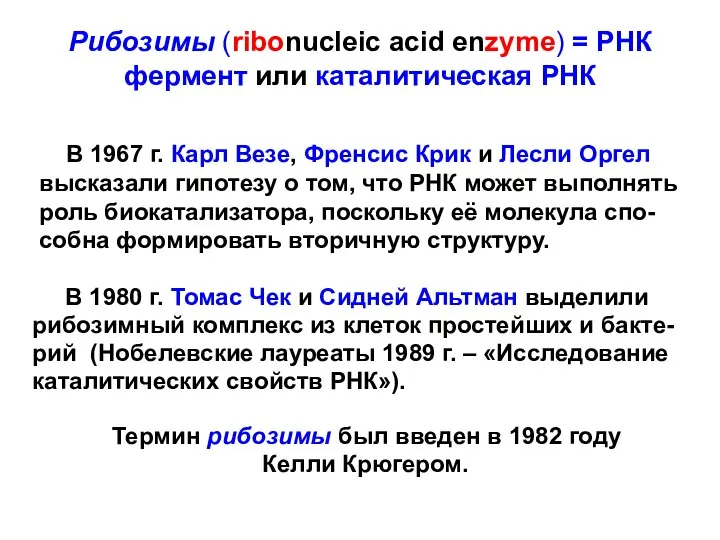 Рибозимы (ribonucleic acid enzyme) = РНК фермент или каталитическая РНК В
