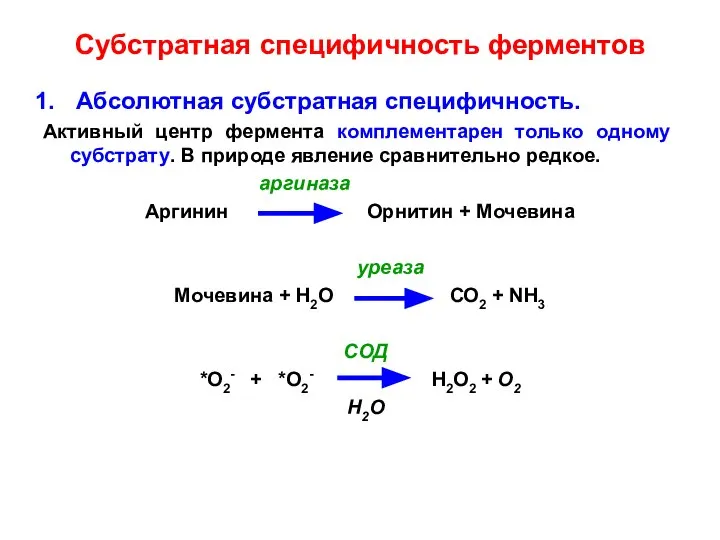 Субстратная специфичность ферментов Абсолютная субстратная специфичность. Активный центр фермента комплементарен только