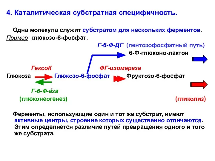 4. Каталитическая субстратная специфичность. Одна молекула служит субстратом для нескольких ферментов.