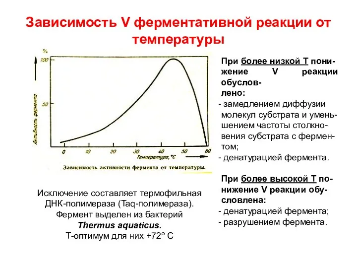 Зависимость V ферментативной реакции от температуры При более низкой Т пони-