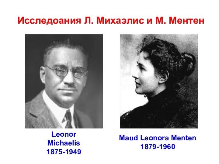 Исследоания Л. Михаэлис и М. Ментен Leonor Michaelis 1875-1949 Maud Leonora Menten 1879-1960