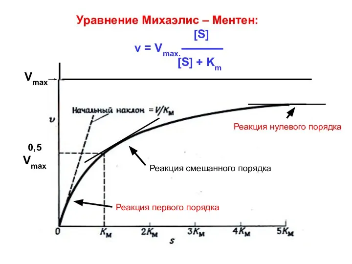 Уравнение Михаэлис – Ментен: [S] v = Vmax. [S] + Km