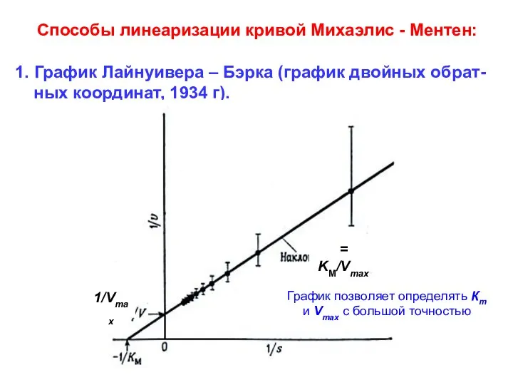 Способы линеаризации кривой Михаэлис - Ментен: 1. График Лайнуивера – Бэрка