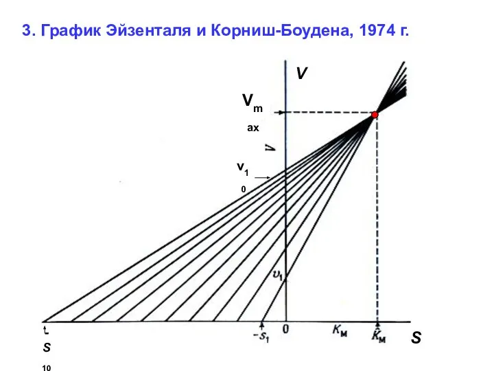 3. График Эйзенталя и Корниш-Боудена, 1974 г. Vmax v10 -S10 S V