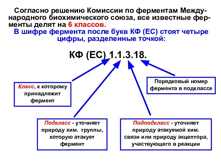 Согласно решению Комиссии по ферментам Между-народного биохимического союза, все известные фер-менты