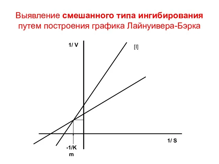 Выявление смешанного типа ингибирования путем построения графика Лайнуивера-Бэрка 1/ V 1/ S [I] -1/Km