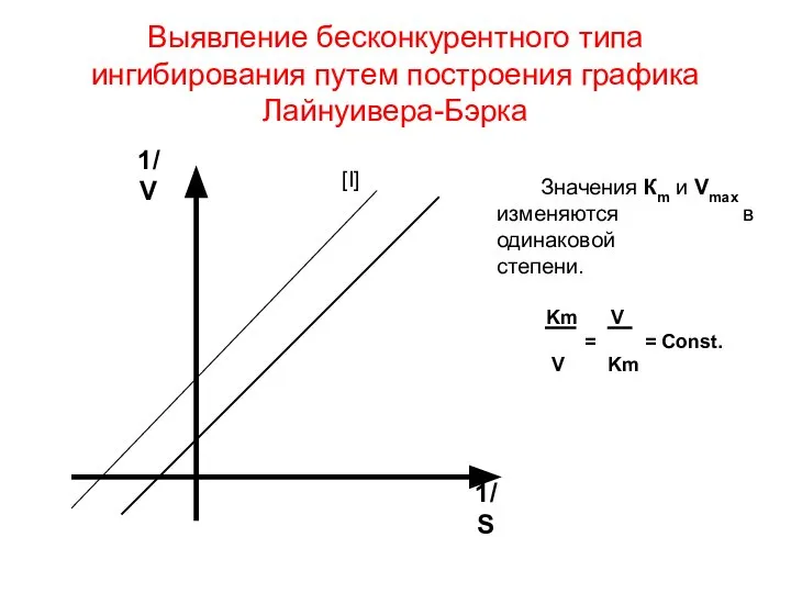 Выявление бесконкурентного типа ингибирования путем построения графика Лайнуивера-Бэрка 1/ V 1/S