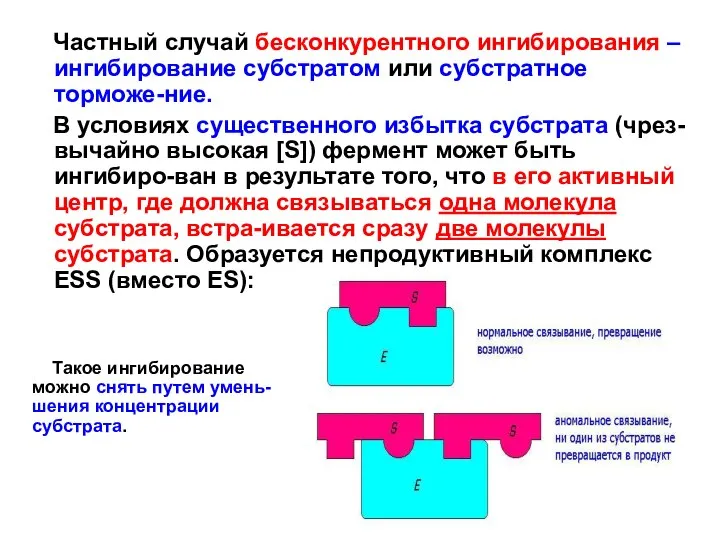 Частный случай бесконкурентного ингибирования – ингибирование субстратом или субстратное торможе-ние. В