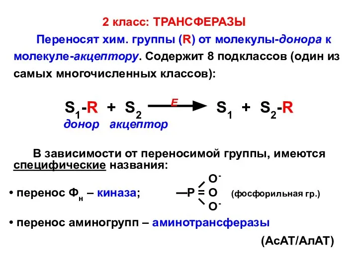 2 класс: ТРАНСФЕРАЗЫ Переносят хим. группы (R) от молекулы-донора к молекуле-акцептору.
