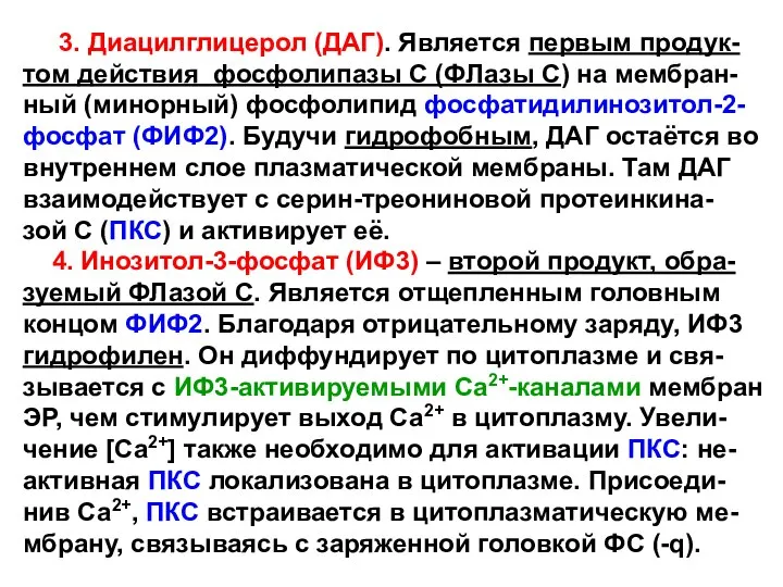 3. Диацилглицерол (ДАГ). Является первым продук- том действия фосфолипазы С (ФЛазы