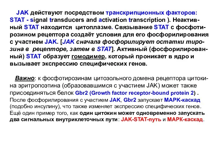 JAK действуют посредством транскрипционных факторов: STAT - signal transducers and activation