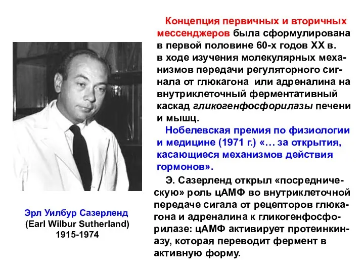 Эрл Уилбур Сазерленд (Earl Wilbur Sutherland) 1915-1974 Концепция первичных и вторичных