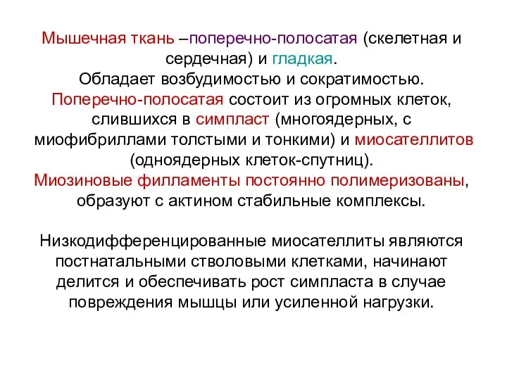 Мышечная ткань –поперечно-полосатая (скелетная и сердечная) и гладкая. Обладает возбудимостью и