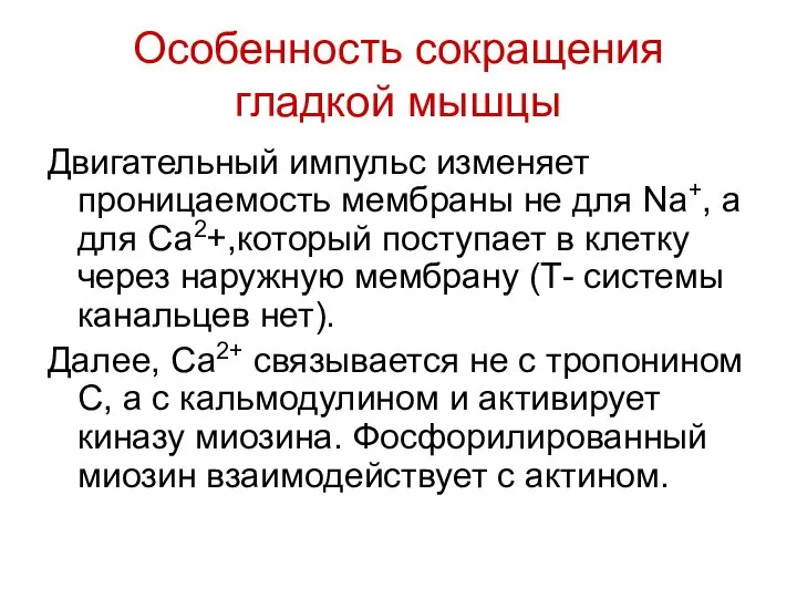 Особенность сокращения гладкой мышцы Двигательный импульс изменяет проницаемость мембраны не для