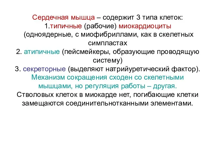 Сердечная мышца – содержит 3 типа клеток: 1.типичные (рабочие) миокардиоциты (одноядерные,